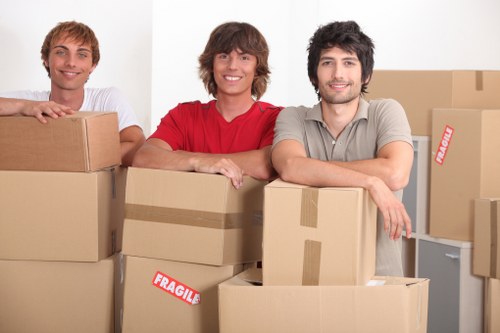 Professional packer preparing fragile household items for transport
